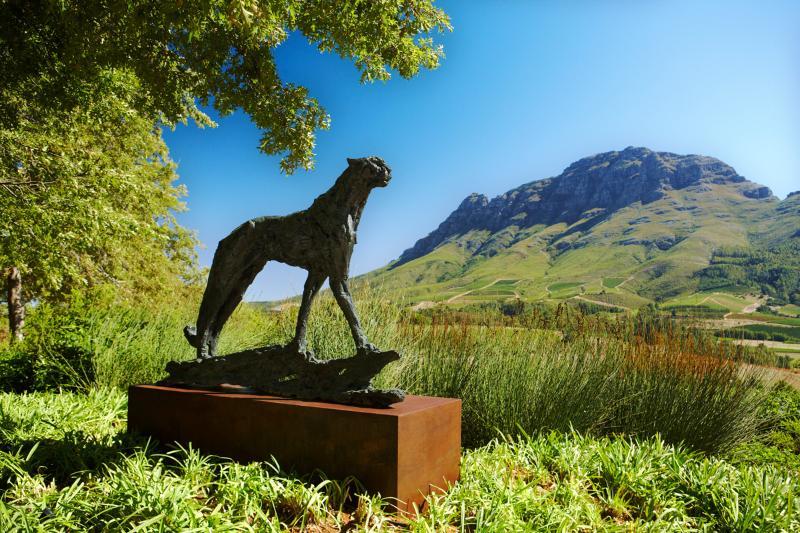 Delaire Graff Lodges And Spa Stellenbosch Buitenkant foto