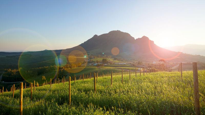 Delaire Graff Lodges And Spa Stellenbosch Buitenkant foto
